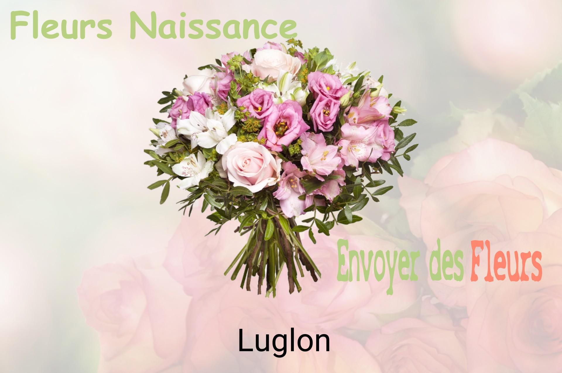 Bouquet de fleurs de naissance livré à Luglon
