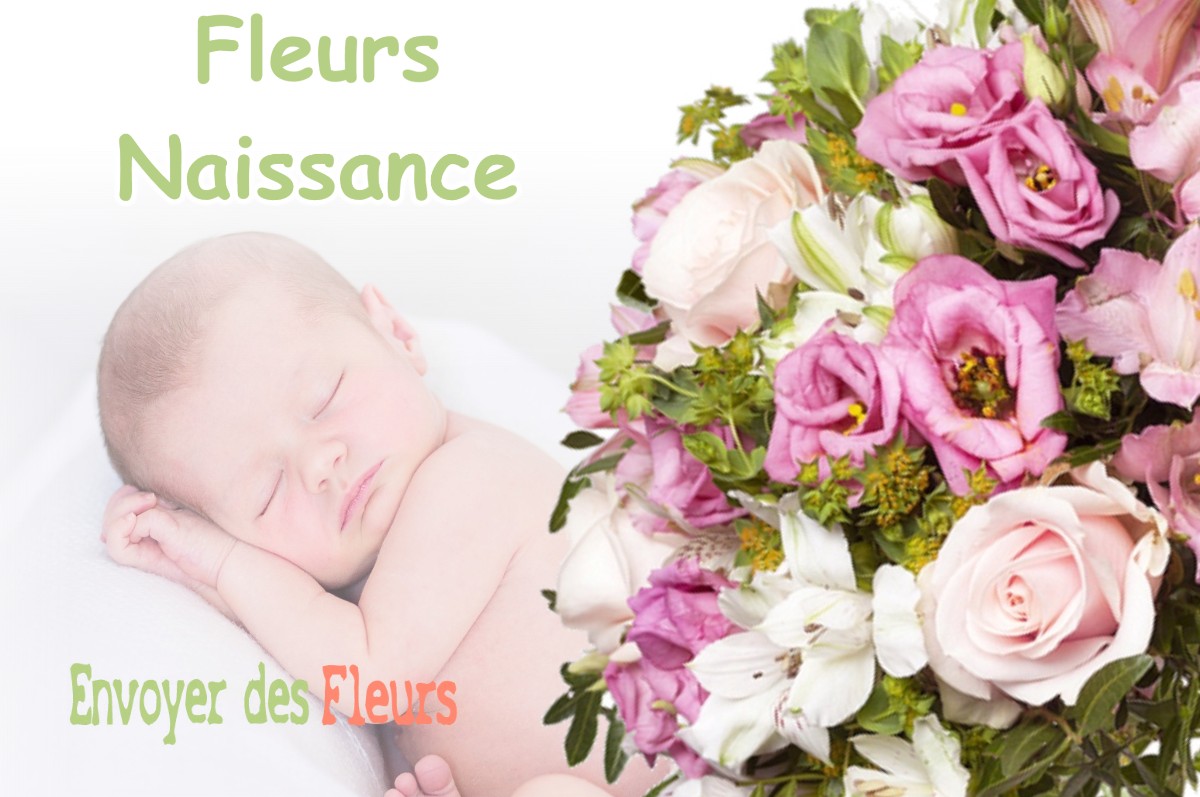 lIVRAISON FLEURS NAISSANCE à LUGLON