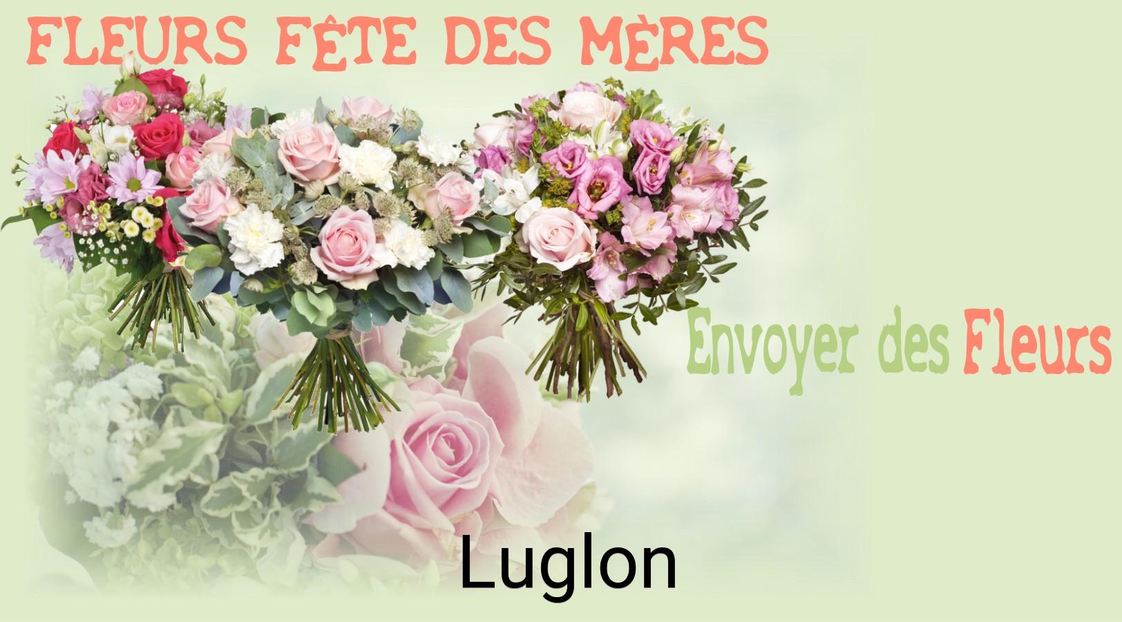 Bouquet de Fête des Mères livré à Luglon